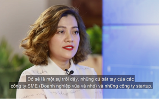 Bà Trương Lý Hoàng Phi muốn 'cấy gen trội' startup vào SME