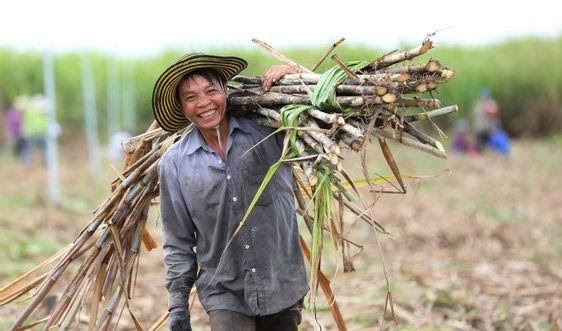 ĐƯỜNG THÁI “NGHẼN” LỐI VÀO VIỆT NAM